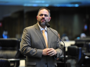 Atividade Parlamentar
