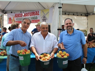 Festividades