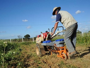 Agricultura