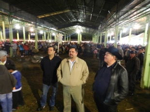 Social